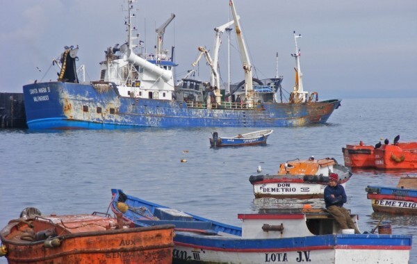 O barco Santa María II pertence à empresa Lota Protein, de propriedade do grupo norueguês Koppernaes Group, que tem travado uma batalha legal com oito grupos poderosos que detém os direitos a 87% da pesca de cavala em mares chilenos. FOTOS: Juan Pablo Figueroa Lasch/ICIJ