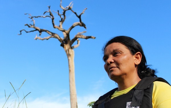 Nilcilene e o novo símbolo da Amazônia, uma castanheira morta. Foto: Ana Aranha
