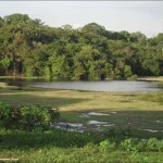 Município de Borba, no Amazonas, que teve contrato com a Celestial Green. Foto usada numa brochura promocional da empresa em novembro de 2011.