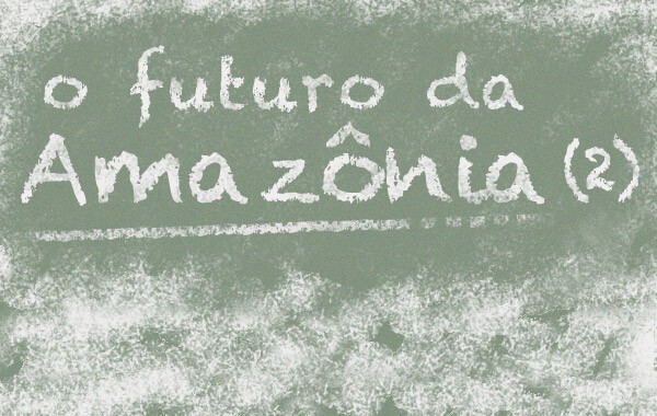 O futuro da Amazônia