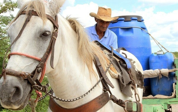 Com adutora da comunidade quebrada, Francisco tem de buscar água a cavalo para a família (Foto: Coletivo Nigéria)