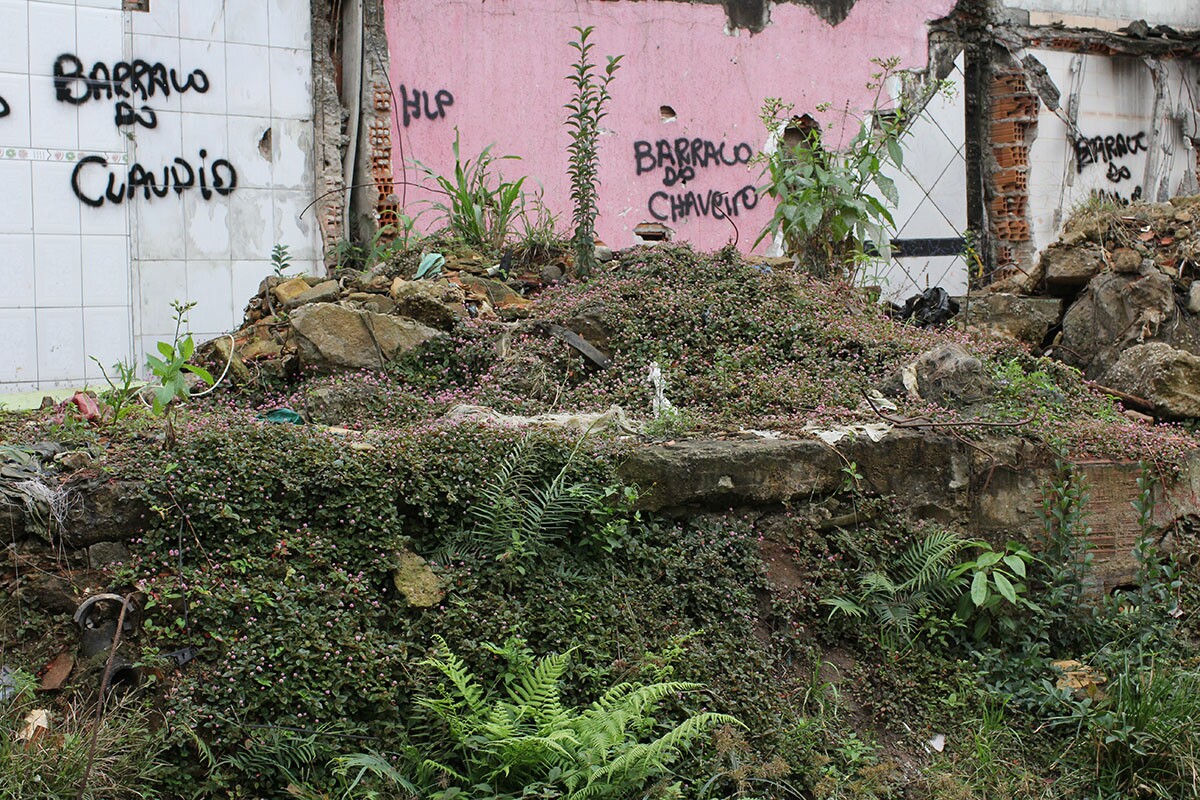 Quase 200 famílias foram removidas de área de risco na favela do Boqueirão, ainda não recuperada