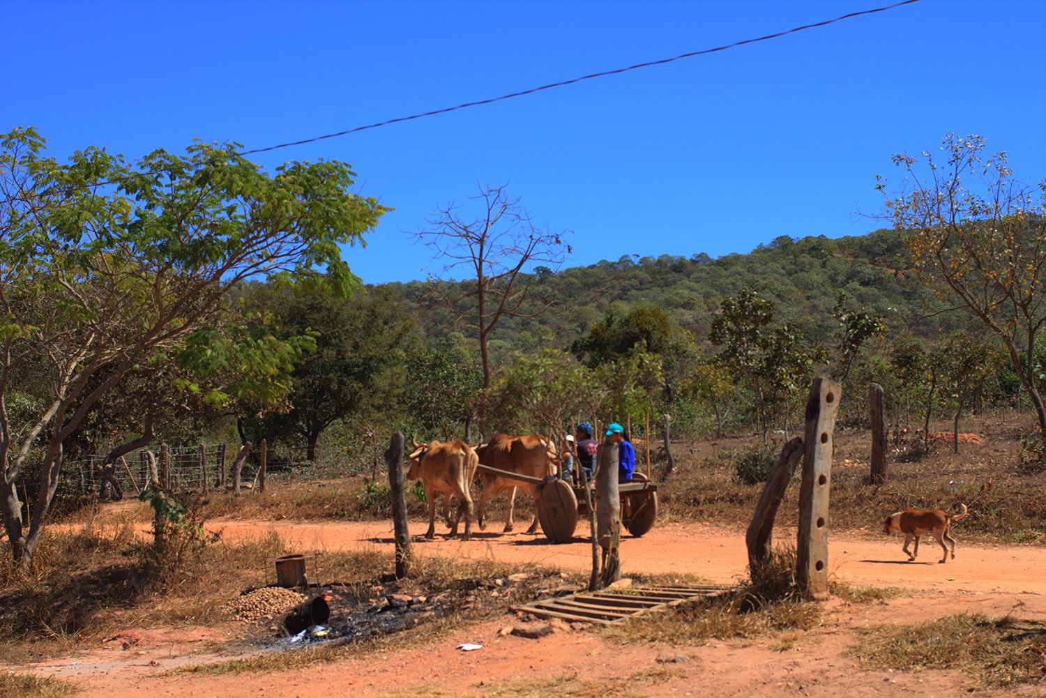 Os geraizeiros são protegidos pelas leis brasileiras como outras comunidades tradicionais mais conhecidas, ribeirinhos e quilombolas.