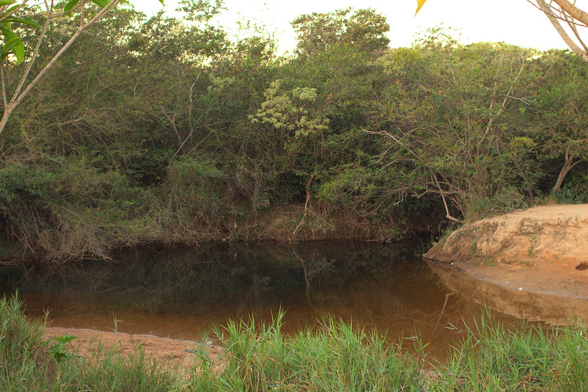 Rio Preto encontra o Rio Pardo: quase secos em agosto, eles ficam cheios no verão com a água das nascentes da chapada
