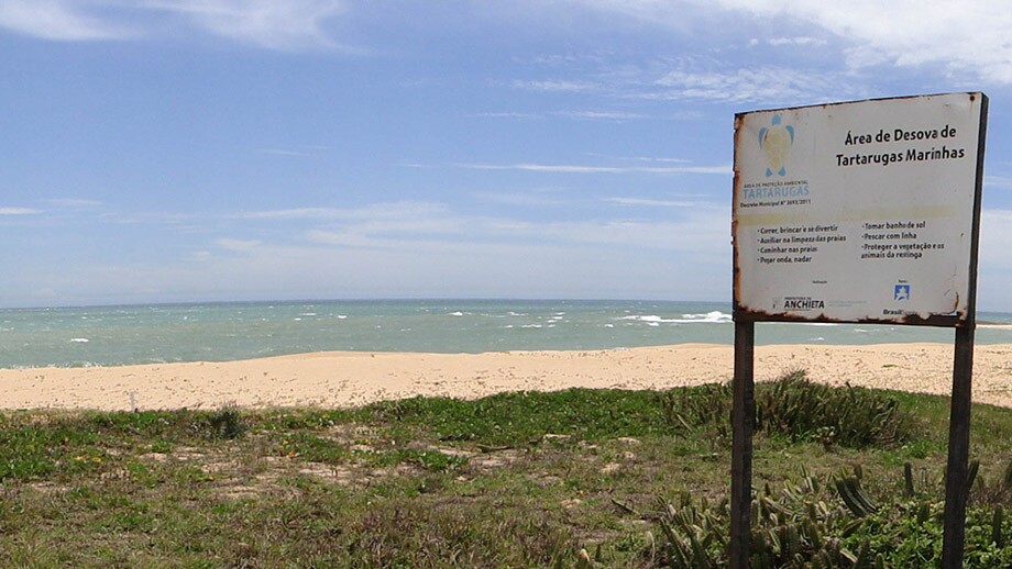 Identificação da área de desova de tartarugas marinhas na Praia do Além em Anchieta. Foto: Agencia Pública/Greenpeace/Renata Bessi
