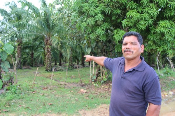 Francisco Ramirez, um pequeno fazendeiro, mostra a rota de fuga para onde seguiu depois de levar um tiro no rosto, durante uma tentativa de ocupar a fazenda El Tumbador, da Dinant