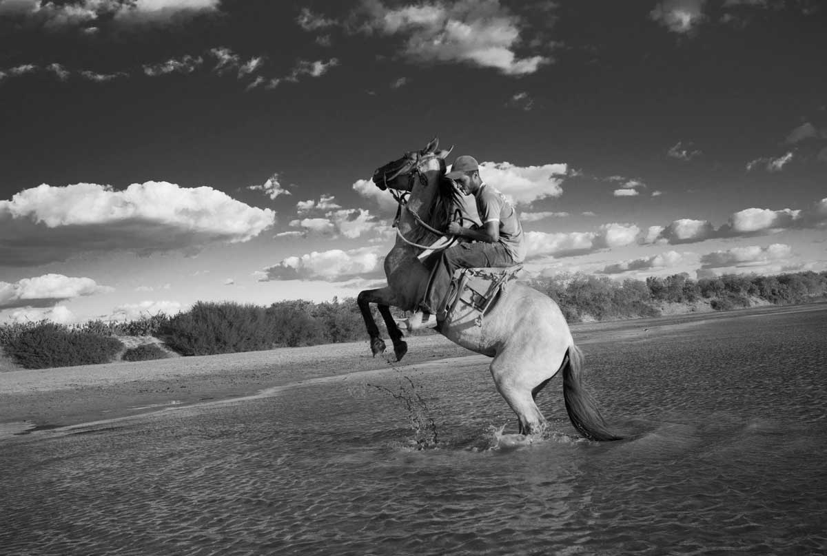 Davi Rodrigues atravessa o São Francisco em seu cavalo em Pau Preto