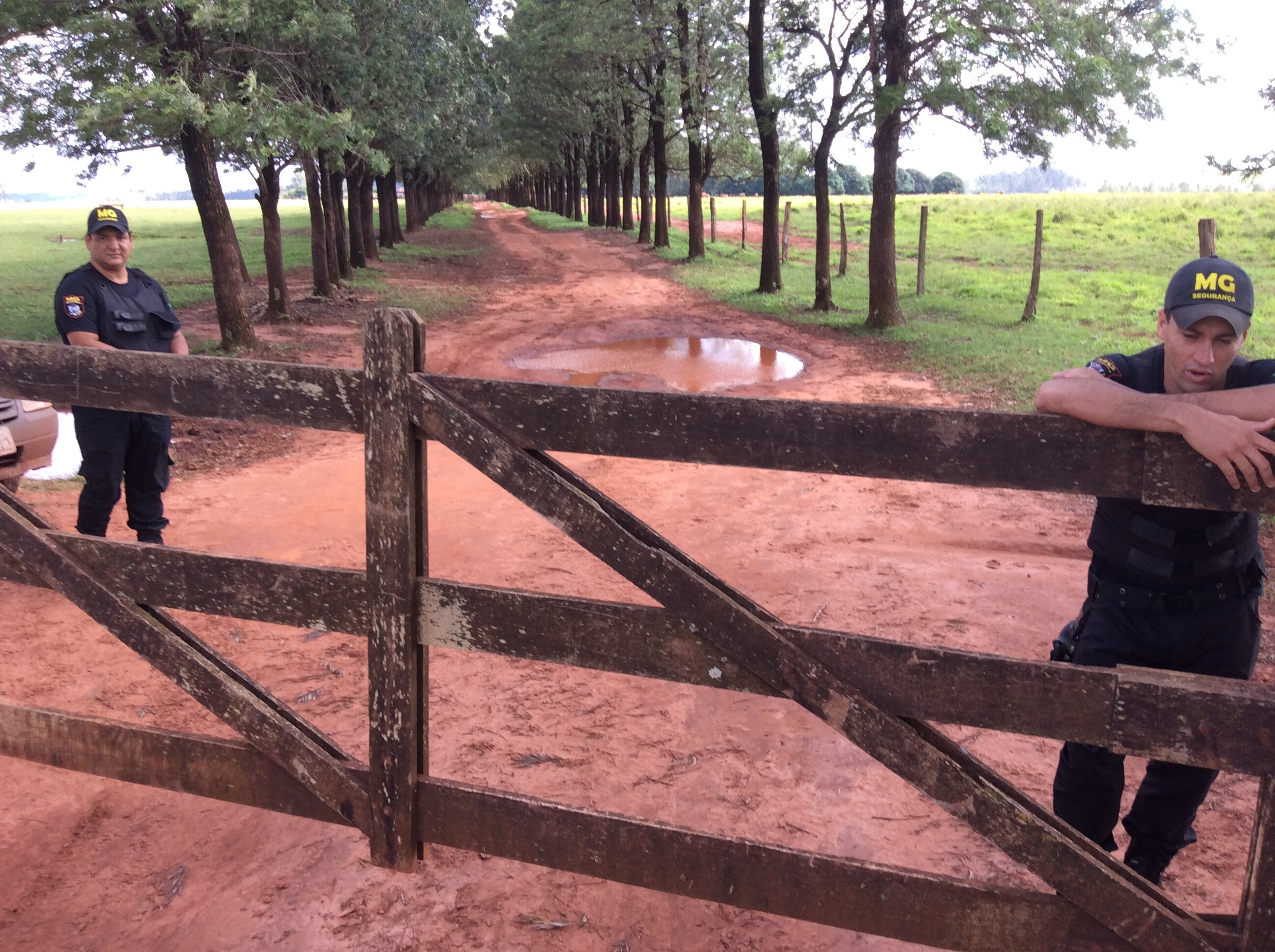 Bom Dia Rio Grande  Acorda Para Ver: gato invade campo durante