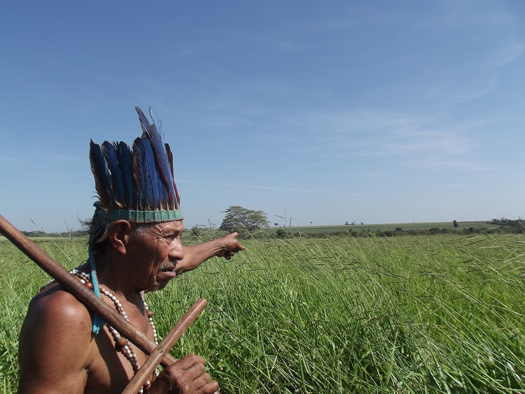 Cacique Tito Vilhalva nasceu e resiste em Guyraroká, terra indígena transformada em fazendas e cuja demarcação foi anulada pelo STF (Tânia Caliari/ Agência Pública)