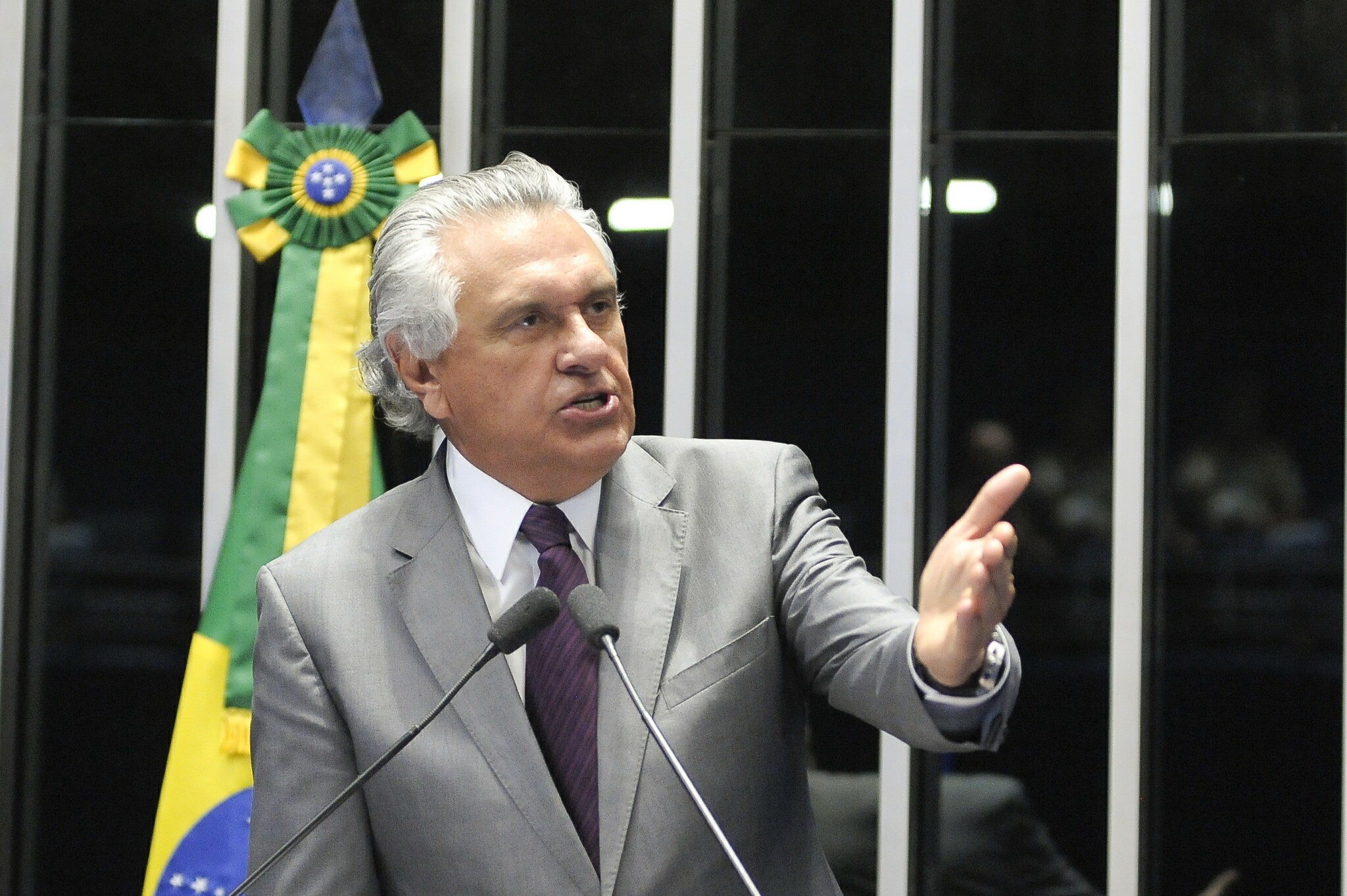 Em discurso, o senador Ronaldo Caiado (DEM-GO)