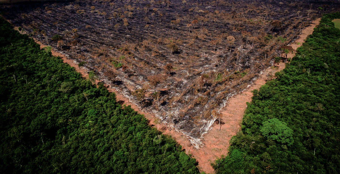 De acordo com pesquisadores, abrir a Amazônia e o Pantanal para o plantio de cana-de-açúcar é um imenso risco para a biodiversidade mundial (Ibama)