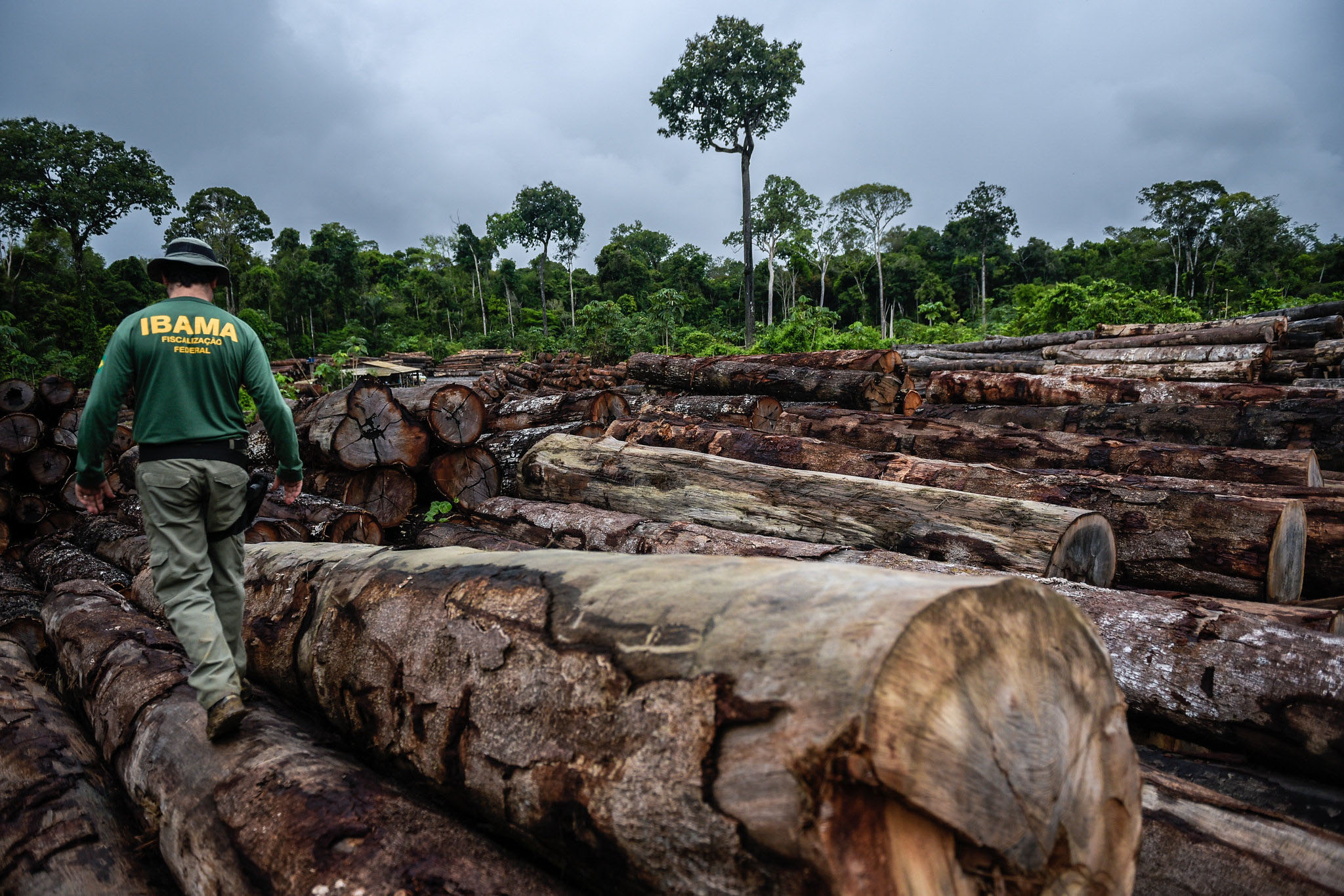 Com o desmatamento e cultivo da cana-de-açúcar tomando espaço das matas nativas há redução na oferta e na produção de água nas florestas (Ibama)