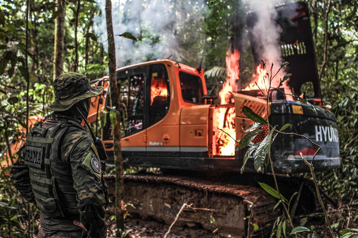 Centenas de políticos com multas ambientais concorrem às eleições na Amazônia_destaque