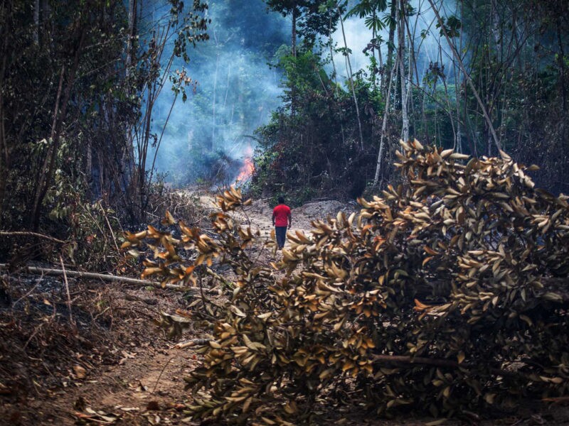 Homem com camisa vermelha e calça azul no meio de uma floresta com focos de incêndio