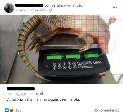Postagem de Facebook com a foto de um tatu morto sob uma balança com a legenda 