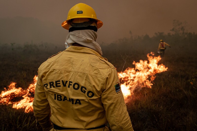 Agente do Prevfogo encara queimada em mata aberta. Ele usa vestimenta amarela com equipamento de proteção.