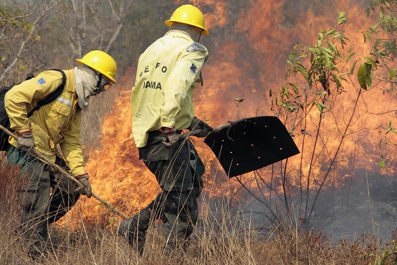 Brigadistas do Ibama vestem uniforme amarelo e equipamento de proteção individual; juntos, dois homens combatem um foco de incêndio