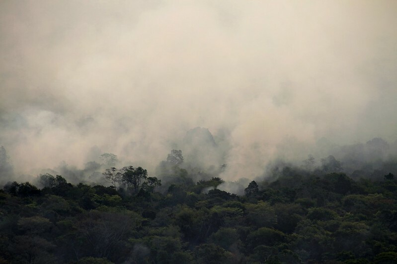 Fumaça da queima das florestas é vista de cima