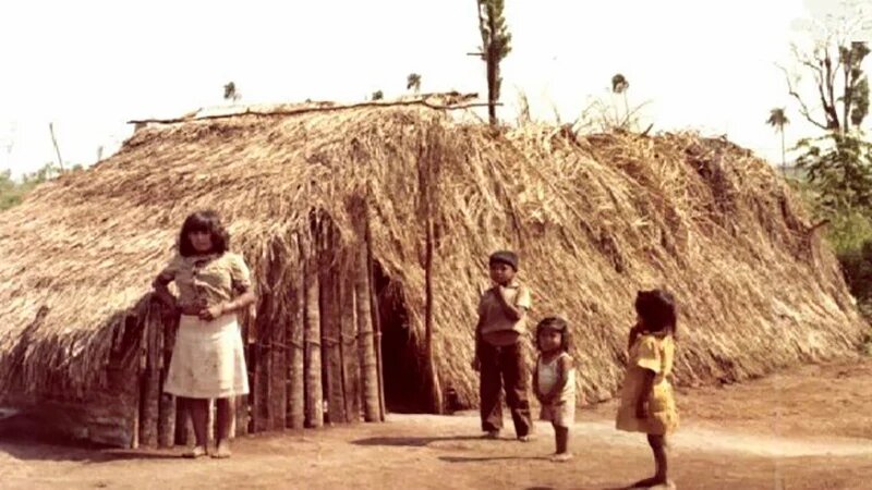 Na imagem, uma mulher e três crianças indígenas estão em frente à uma construção de madeira e palha