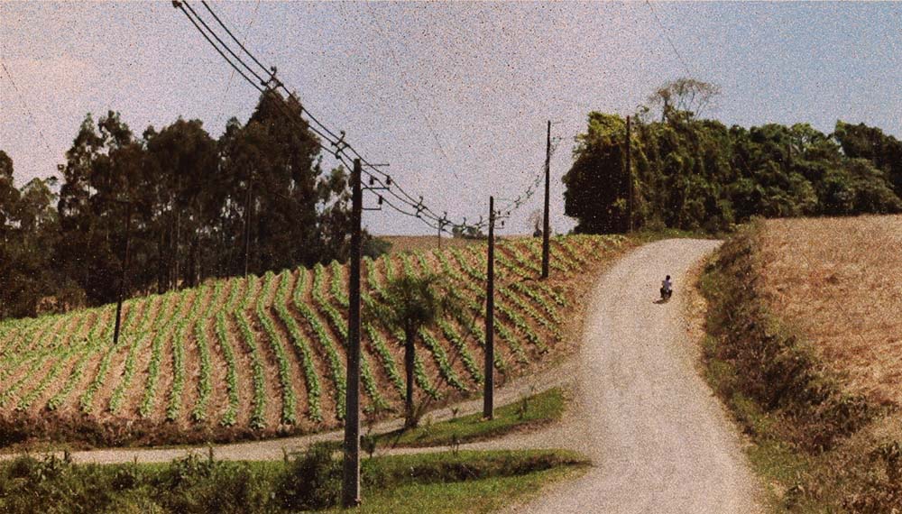 A imagem mostra em plano aberto um homem andando de moto em meio à uma estreita estrada de terra; o espaço conta ainda com postes de iluminação e árvores