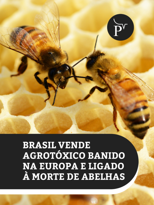 Brasil vende agrotóxico banido na Europa e ligado à morte de abelhas