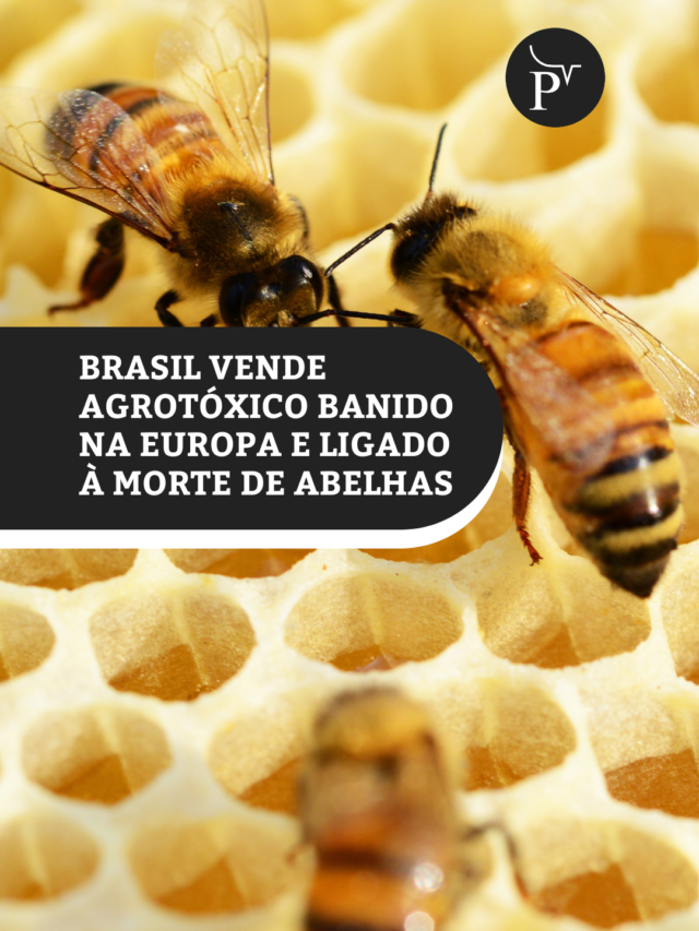 cropped-brasil-vende-agrotoxico-banido-na-europa-e-ligado-a-morte-de-abelhas-8.png
