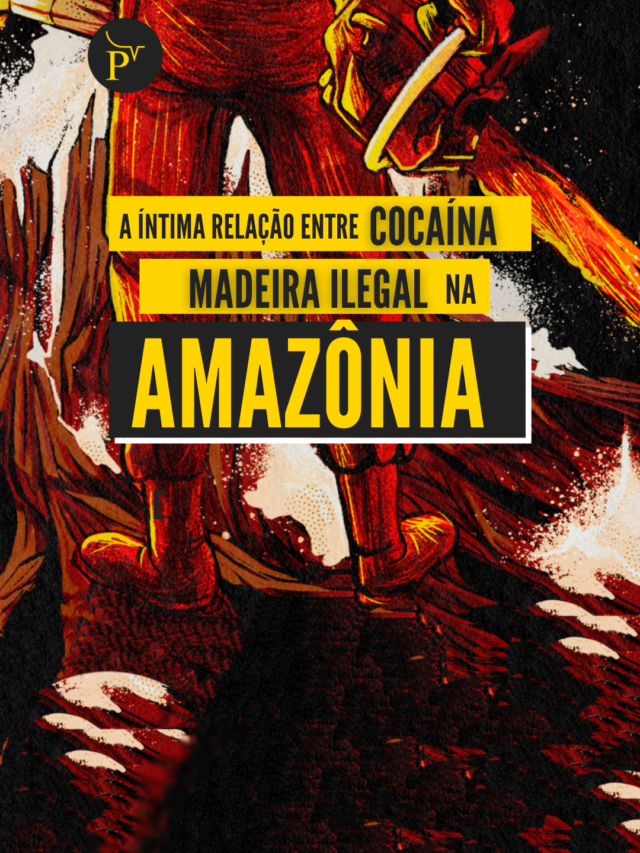 cropped-webst-intima-relacao-entre-cocaina-e-madeira-ilegal-na-amazonia-2.png