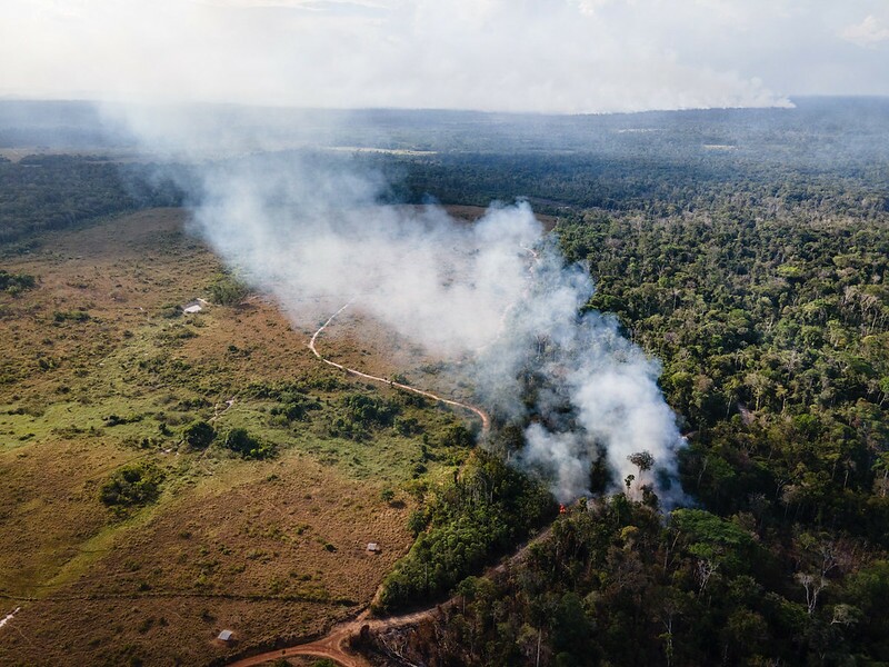 Imagem aérea de território indígena sofrendo com queimadas na Amazônia em 2020