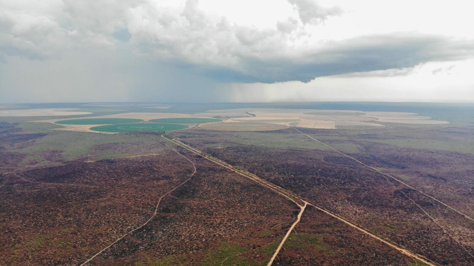 Imagem aérea mostra território atingido pelas mudanças do clima, como a seca