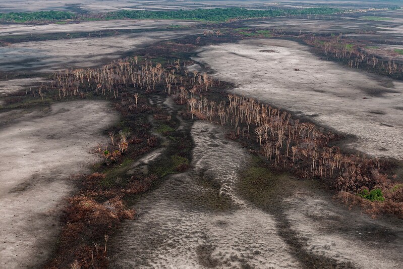 Imagem aérea mostra área consumida pelo fogo na Amazônia, com algumas poucas árvores em pé que resistiram ao incêndio