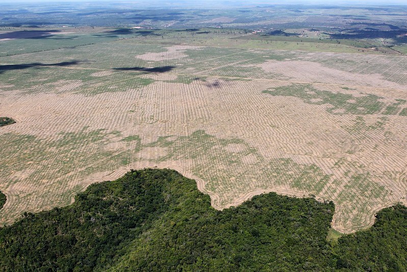 Imagem aérea de área desmatada na Amazônia, com uma divisão entre floresta e terra desmatada