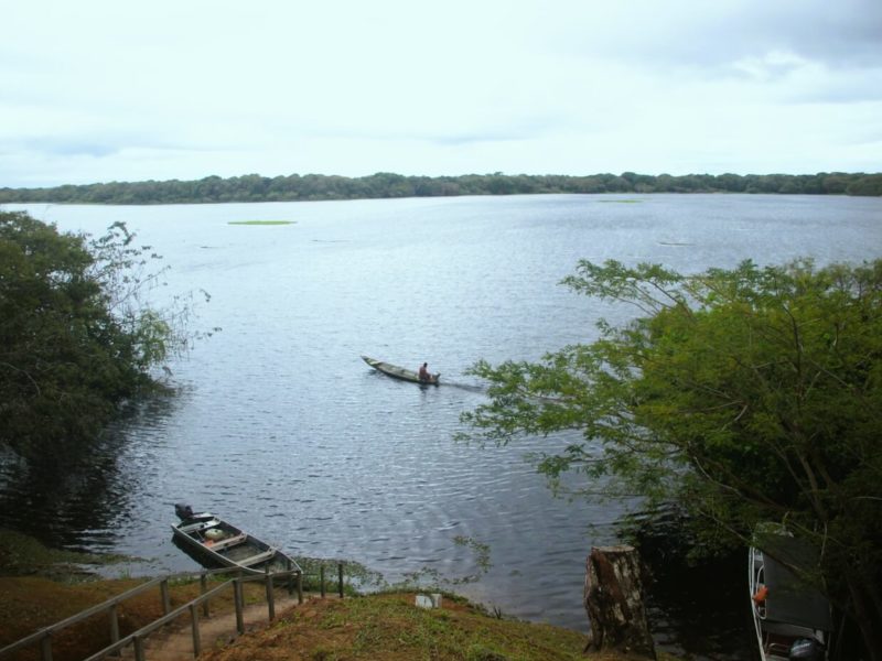 Foto mostra trecho do Lago Cuniã, margeado por vegetação nativa