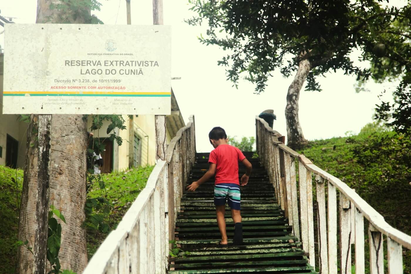 Entrada da Resex Cuniã com placa de identificação do local à esquerda, escada ao centro com criança subindo os degraus e vegetação ao redor