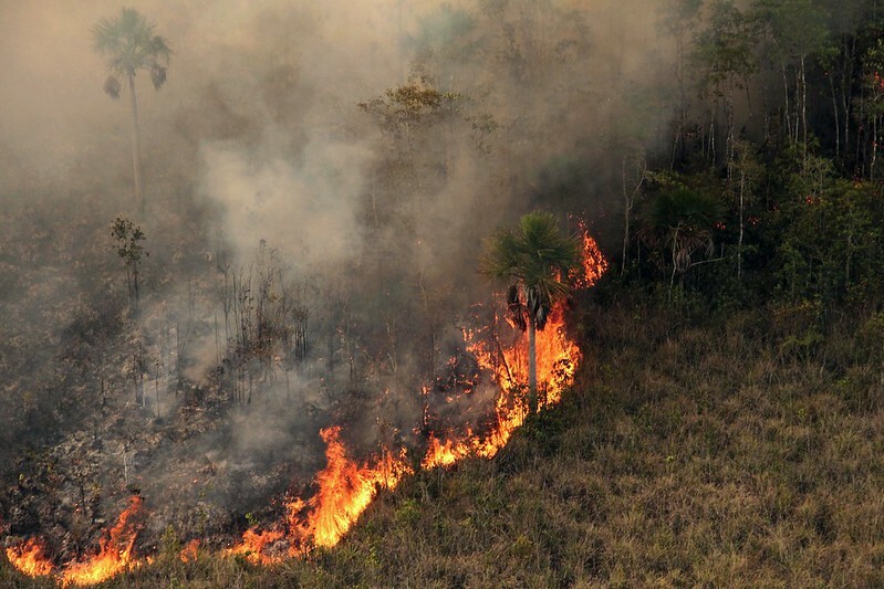 Imagem aérea mostra área de mata queimando