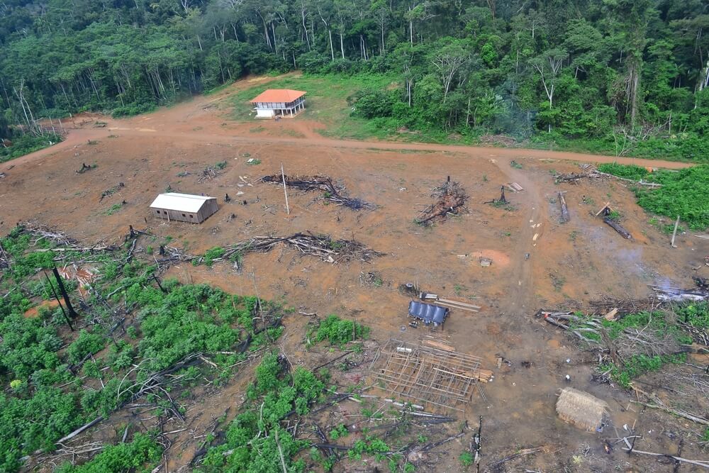 Operação aérea de fiscalização verifica área desmatada na Terra Indígena Kaxarari/Amazonas.