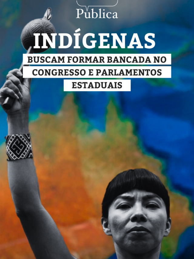 Indígenas buscam formar bancada no Congresso e parlamentos estaduais