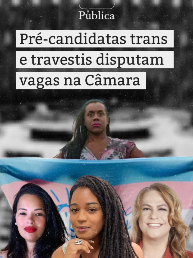 Pré-candidatas trans e travestis disputam vagas na Câmara