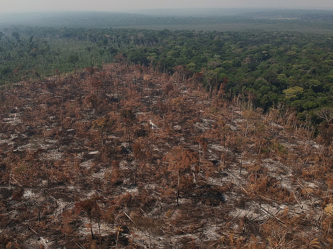 Area de floresta derrubada e queimada e vista na regiao da vicinal do Salomao, no municipio de Apui, Amazonas