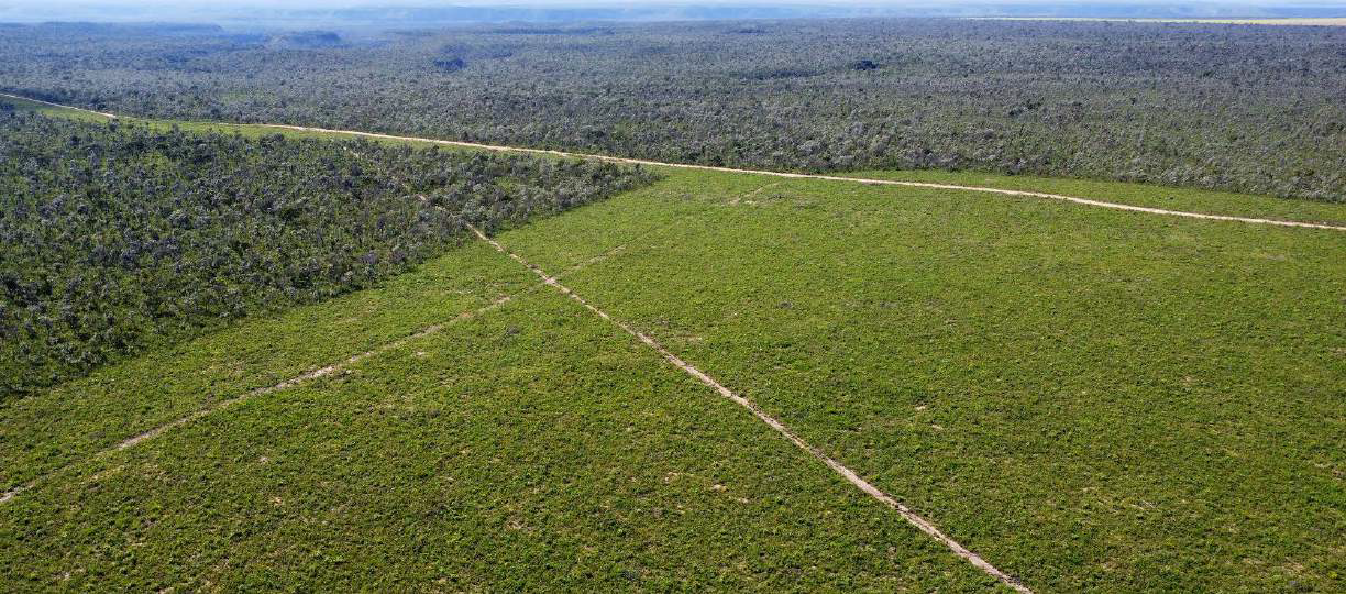 Imagem aérea mostra área desmatada pela Bunge no Piauí