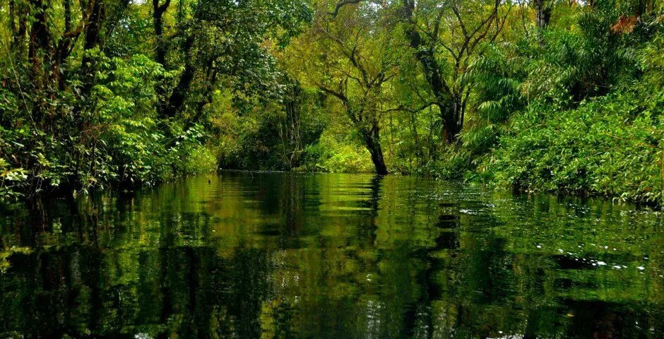 Reserva-Extrativista-Terra-Grande-Pracuúba_Empresa vende créditos de carbono sobre terras públicas na Ilha do Marajó