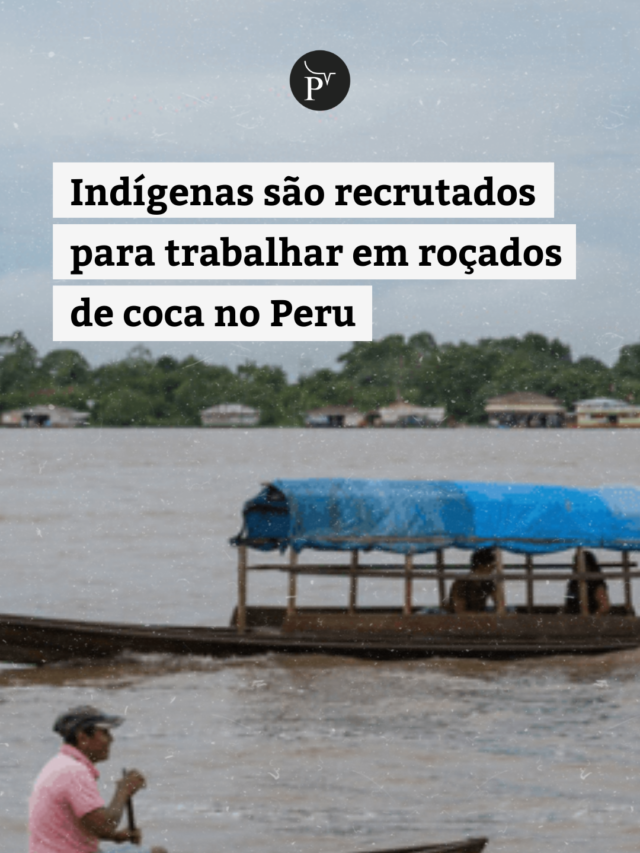 Indígenas são recrutados para trabalhar em roçados de coca no Peru