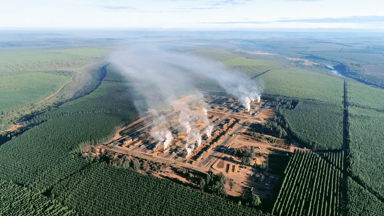 Empresa de extração de eucalipto no Vale do Jequitinhonha.