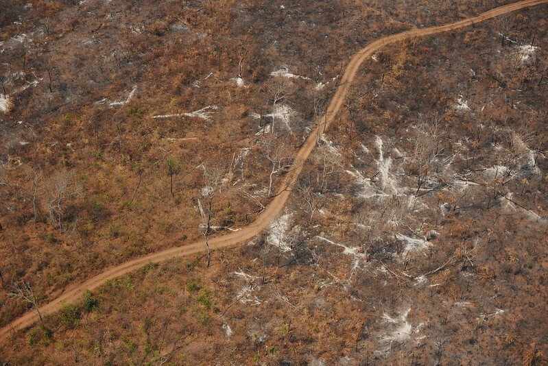 Desmatamento tem crescido no território do povo Canela, colocando a região entre as mais conflituosas do estado. Foto: Felipe Werneck/Ibama