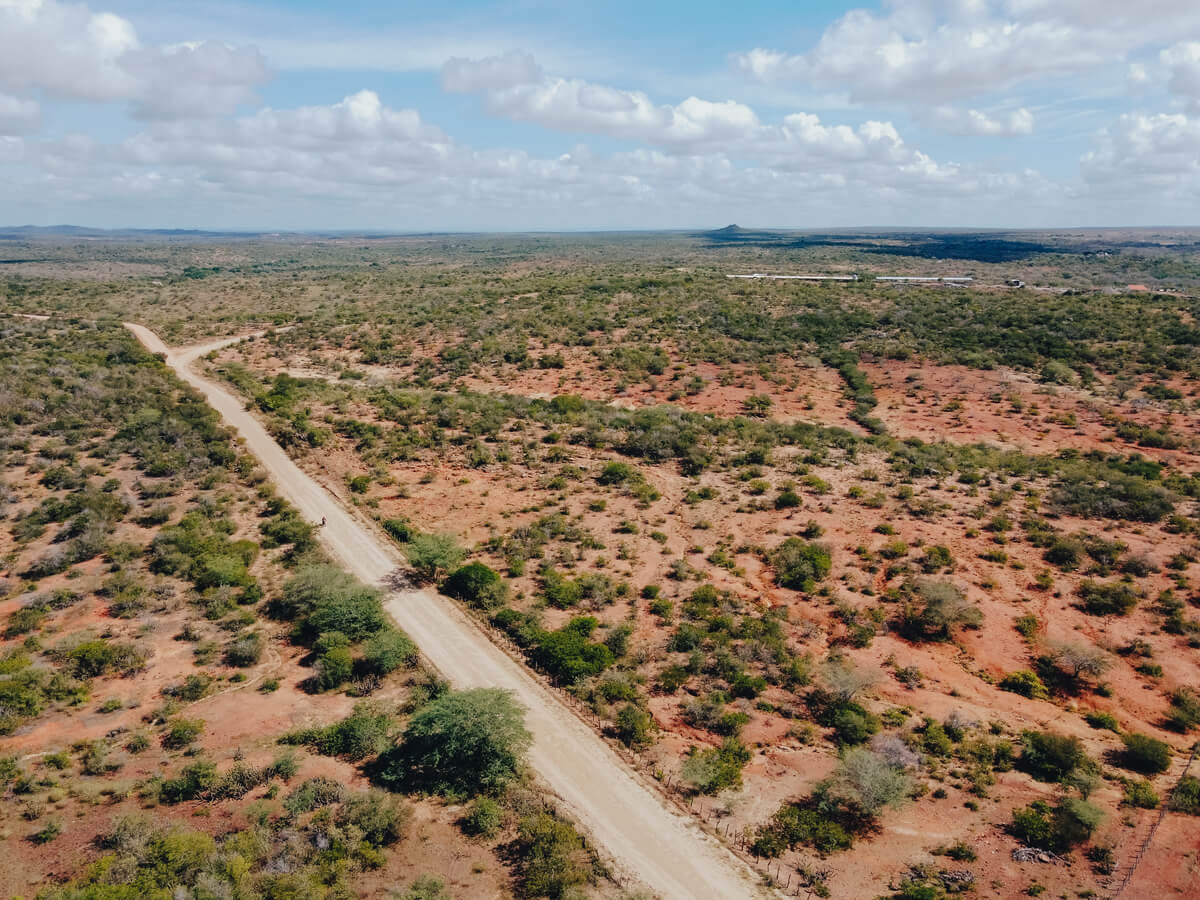 Imagem aérea da Caatinga, área afetada pela desertificação
