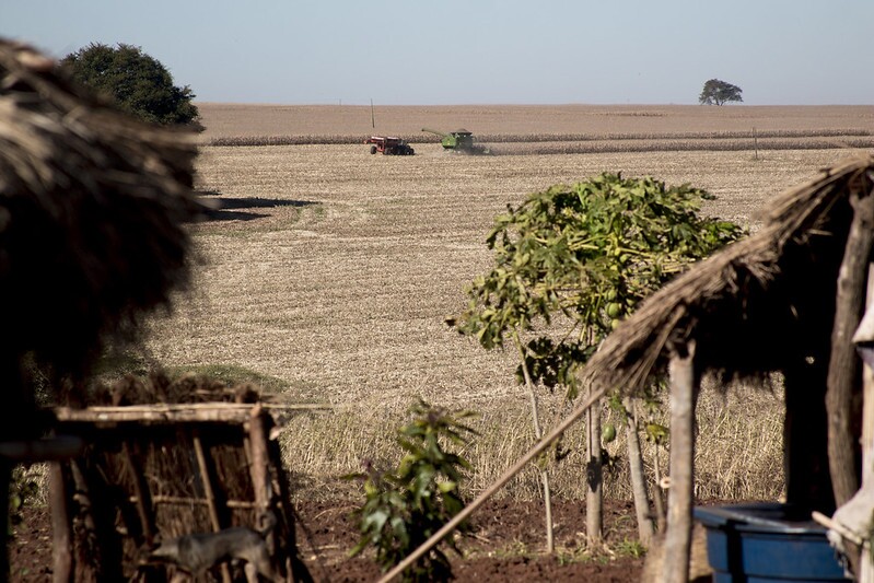 Terra Indígena Dourados Amambaipeguá 1, em Caarapó, Mato Grosso do Sul