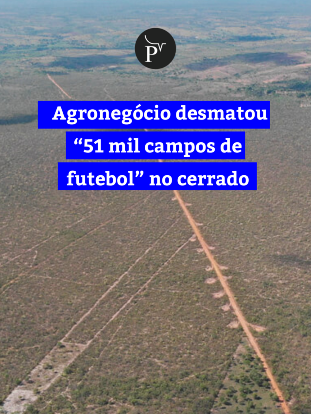 Agronegócio desmatou “51 mil campos de futebol” no cerrado