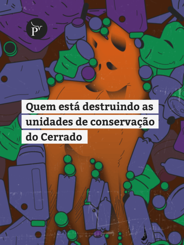 Quem está destruindo as unidades de conservação do Cerrado