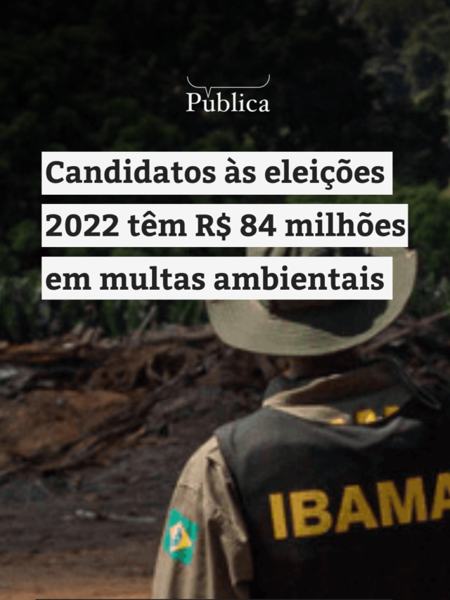 Candidatos às eleições 2022 têm R$ 84 milhões em multas ambientais