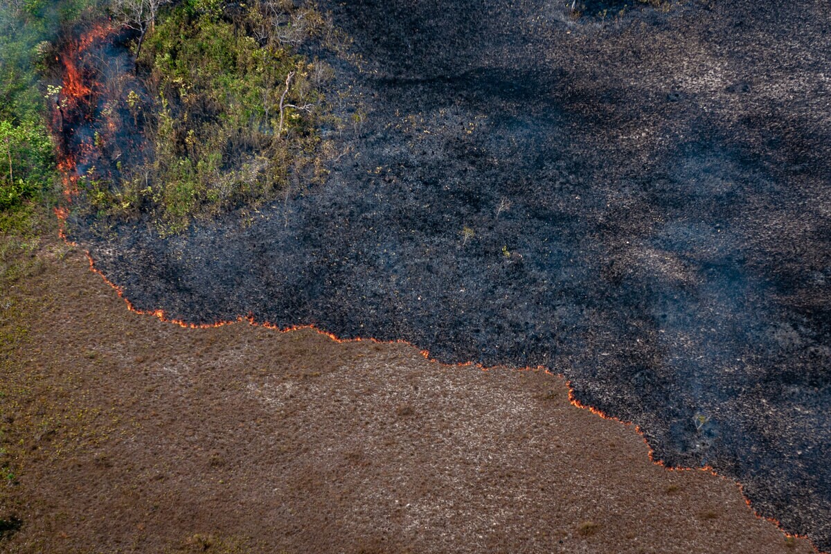 Foco de incêndio em região de floresta na Amazônia.