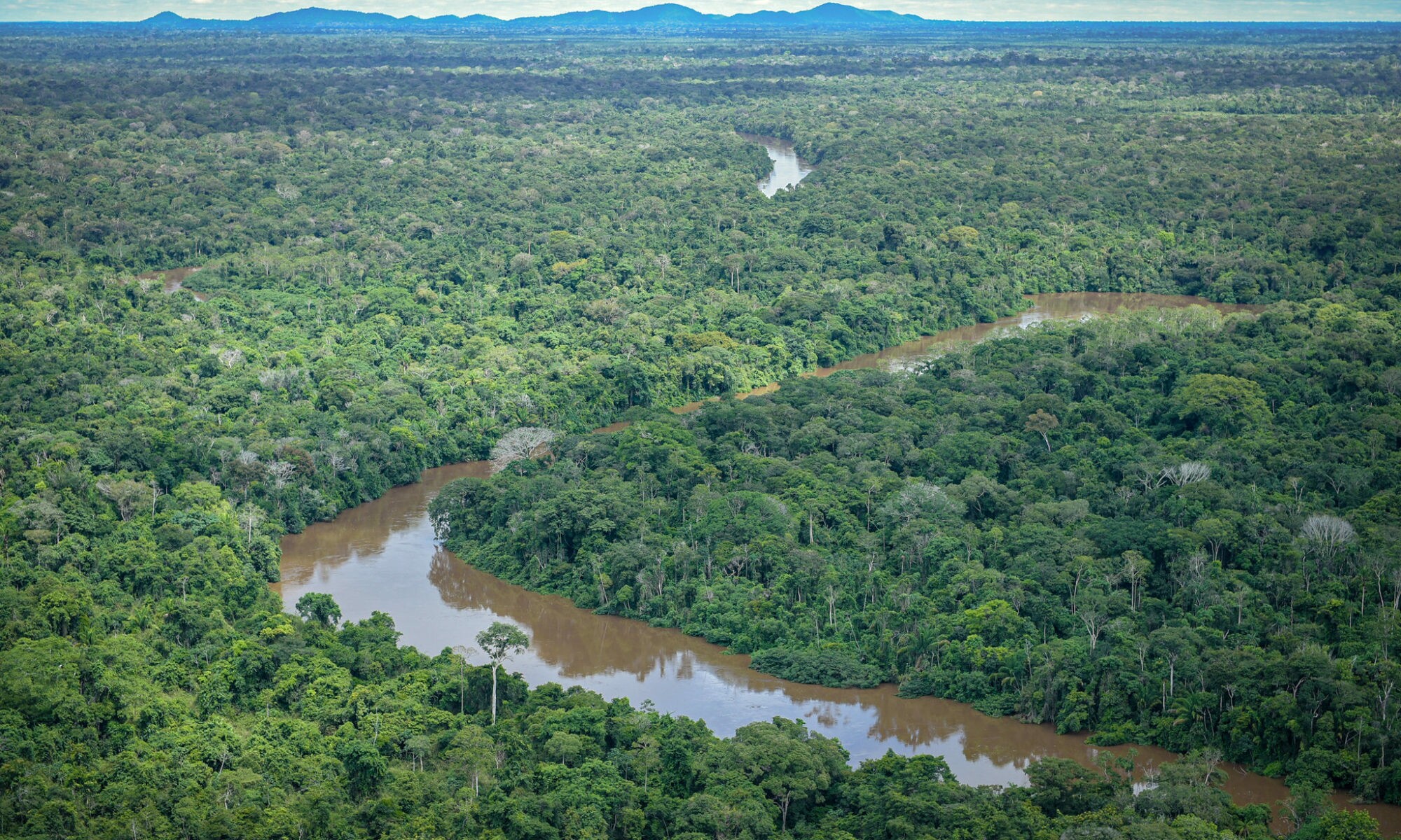 acordo-brasil-indonesia-republica-do-congo-para-preservar-florestas-agencia-publica